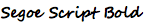 Segoe Script Bold