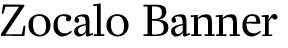 Zócalo Banner