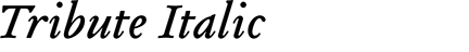 Tribute Italic