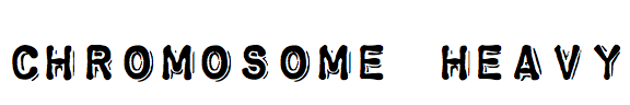 Chromosome Heavy