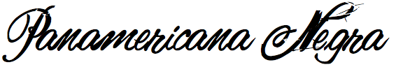 Panamericana Negra