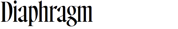 Diaphragm
