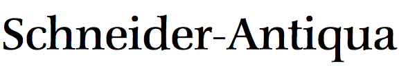 Schneider-Antiqua