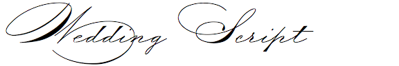 Wedding Script