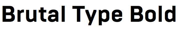 Brutal Type Bold