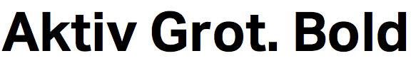 Aktiv Grotesk Bold