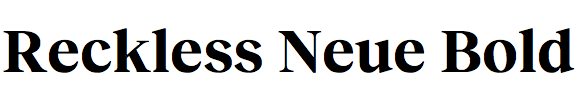 Reckless Neue Bold