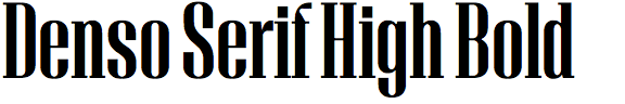 Denso Serif High Bold