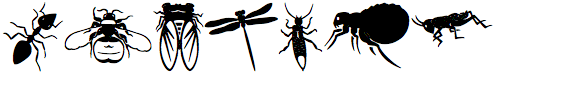 Insecta