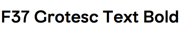 F37 Grotesc Text Bold