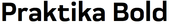 Praktika Bold