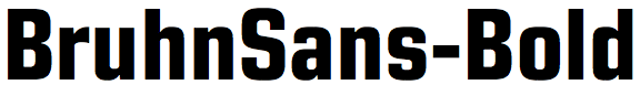 FTN Bruhn Sans Bold