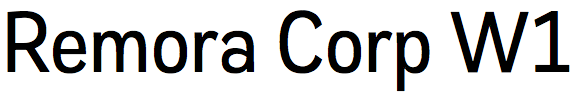 Remora Corp W1