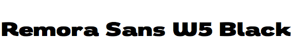 Remora Sans W5 Black
