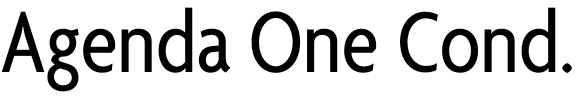 Agenda One Condensed