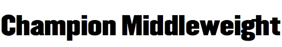 Champion Middleweight