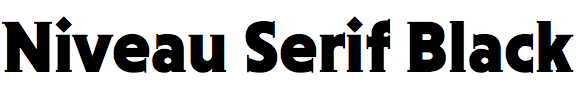 Niveau Serif Black