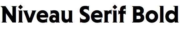 Niveau Serif Bold