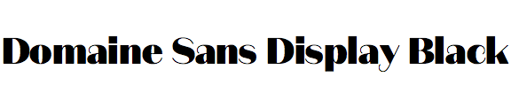 Domaine Sans Display Black