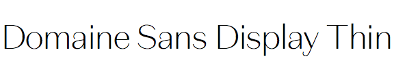 Domaine Sans Display Thin