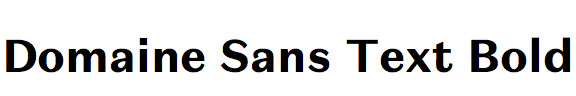 Domaine Sans Text Bold
