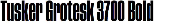 Tusker Grotesk 3700 Bold