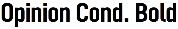 Opinion Condensed Bold