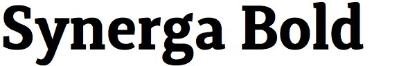 Synerga Bold