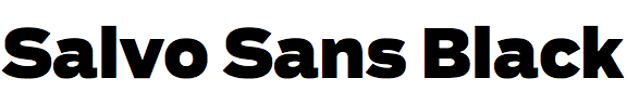 Salvo Sans Black