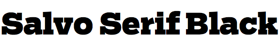 Salvo Serif Black