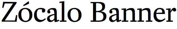 Zócalo Banner
