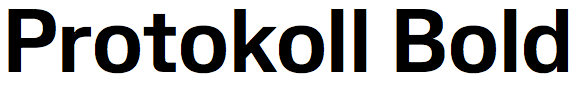 Protokoll Bold