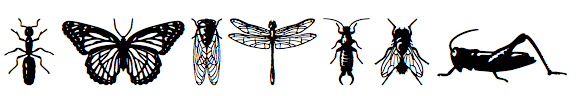 P22 Insectile