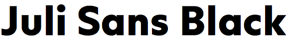 Juli Sans Black