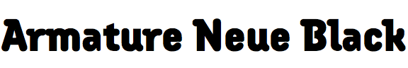 Armature Neue Black
