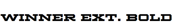 Winner Extended Bold