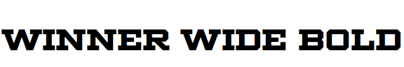 Winner Wide Bold
