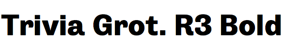 Trivia Grotesk R3 Bold
