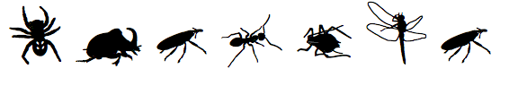 Insects