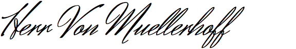 Herr Von Muellerhoff