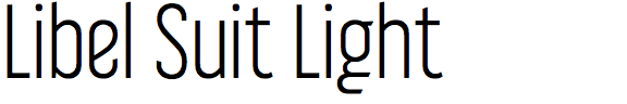 Libel Suit Light