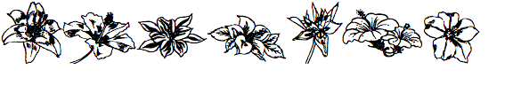 Fleuraloha