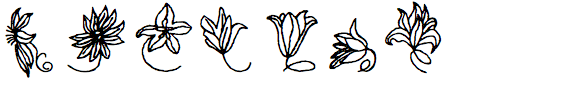 Joya Flowers