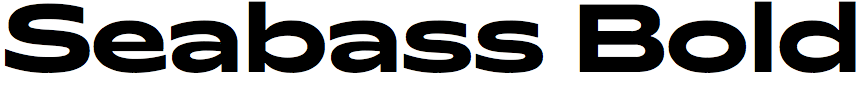 Seabass Bold