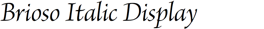 Brioso Italic Display