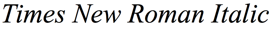 Times New Roman Italic