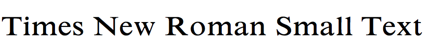 Times New Roman Small Text