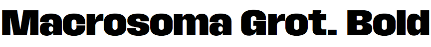 Macrosoma Grotesque Bold