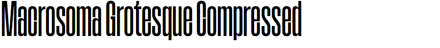 Macrosoma Grotesque Compressed
