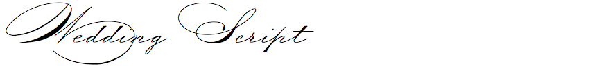 Wedding Script